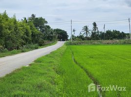  Земельный участок for sale in Mueang Nakhon Pathom, Nakhon Pathom, Wang Taku, Mueang Nakhon Pathom