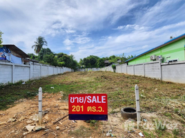  Grundstück zu verkaufen in Thalang, Phuket, Si Sunthon, Thalang