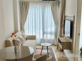 1 Bedroom Apartment for rent at Phyll Phuket by Central Pattana, Wichit