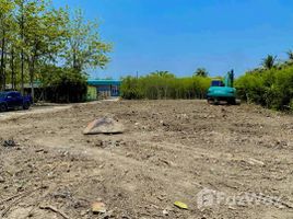  Земельный участок for sale in Ratchaburi, Don Khlang, Damnoen Saduak, Ratchaburi