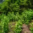  Terreno (Parcela) en venta en Tanza, Calabarzon, Tanza, Cavite