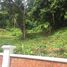  Terrain for sale in Big C Phuket, Wichit, Ratsada