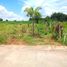  Terrain for sale in Nakhon Ratchasima, Mittraphap, Sikhio, Nakhon Ratchasima