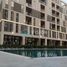 1 Bedroom Apartment for sale at Al Mamsha, Al Zahia