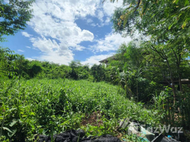 ขายที่ดิน ใน ลาดพร้าว กรุงเทพมหานคร, จรเข้บัว, ลาดพร้าว