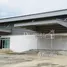  Warenhaus zu verkaufen in Suan Luang, Samut Sakhon, Suan Luang, Krathum Baen, Samut Sakhon, Thailand