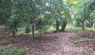 N/A Land for sale in Tham Nam Phut, Phangnga 