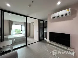 คอนโด 1 ห้องนอน ให้เช่า ในโครงการ แอสปาย เอราวัณ ไพร์ม, ปากน้ำ