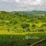  Terreno (Parcela) en venta en Penonomé, Coclé, Toabré, Penonomé