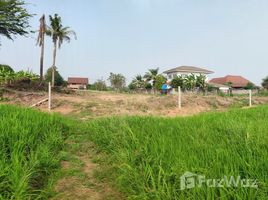 彭世洛 Tha Thong 1-2-74 Rai Land in Tha Thong Phitsanulok for Sale N/A 土地 售 