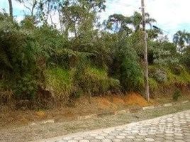  Land for sale at Centro, Itanhaem