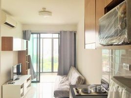 1 Bedroom Apartment for rent at Ideo Blucove Sukhumvit, Bang Na, Bang Na, Bangkok