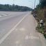  Земельный участок for sale in Bo Lek Long, Phrae, Bo Lek Long, Long, Phrae