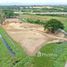  Land for sale in Chiang Mai, Nong Phueng, Saraphi, Chiang Mai