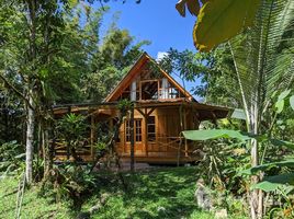 Studio Haus zu verkaufen in San Miguel De Los Bancos, Pichincha, Mindo