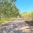  Земельный участок for sale in Nong Wua So, Удонтани, Nong Wua So, Nong Wua So