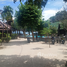  Grundstück zu verkaufen in Ko Pha-Ngan, Surat Thani, Ban Tai, Ko Pha-Ngan