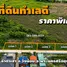  Land for sale in Lam Ta Sao, Phra Nakhon Si Ayutthaya, Lam Ta Sao, Wang Noi, Phra Nakhon Si Ayutthaya, Thailand