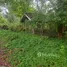 14 спален Дом for sale in Song Salueng, Районг, Song Salueng, Кланг, Районг
