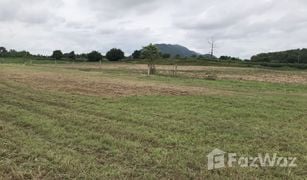 N/A Grundstück zu verkaufen in Phu Toei, Phetchabun 