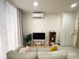 1 Bedroom Condo for rent at Chambers On-Nut Station, Bang Chak, Phra Khanong, Bangkok, Thailand