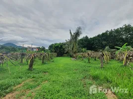  Terrain for sale in Loei, Mueang, Mueang Loei, Loei