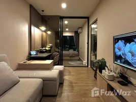 1 Bedroom Condo for rent at Modiz Sukhumvit 50, Phra Khanong, Khlong Toei, Bangkok, Thailand