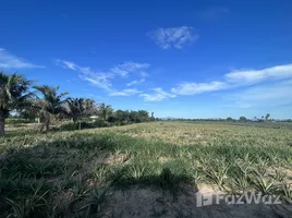  Terrain for sale in Prachuap Khiri Khan, Wang Phong, Pran Buri, Prachuap Khiri Khan