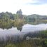 ขายที่ดิน ใน ตะกั่วป่า พังงา, บางม่วง, ตะกั่วป่า