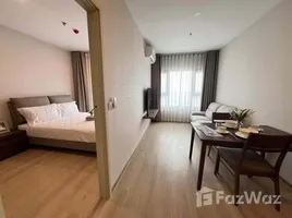 อพาร์ทเม้นท์ 1 ห้องนอน ให้เช่า ในโครงการ Life Rama 4 - Asoke, คลองเตย, คลองเตย, กรุงเทพมหานคร