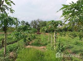 N/A Land for sale in Nong Tum, Chaiyaphum 107 Rai Land close to the Main Road Phu Khiao - Kaset Sombun