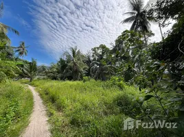  Land for sale in Bo Phut, Surat Thani, Bo Phut, Koh Samui