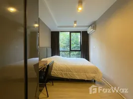 คอนโด 1 ห้องนอน ให้เช่า ในโครงการ มาเอสโตร 02 ร่วมฤดี, ลุมพินี, ปทุมวัน