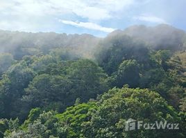  Land for sale in Leon Cortes San Jose, Leon Cortes, San Jose, Costa Rica
