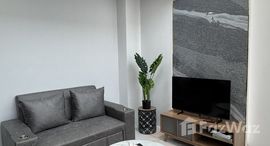 ยูนิตมือสองและให้เช่า