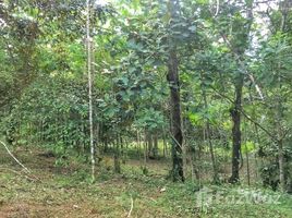 N/A Land for sale in , Alajuela Land for Sale in San Carlos