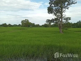  Land for sale in Mueang Surin, Surin, Nok Mueang, Mueang Surin