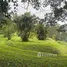 Terreno (Parcela) en venta en Alajuela, San Ramón
