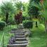2 Habitación Casa en venta en Ojochal, Osa, Puntarenas, Costa Rica