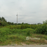  Land for sale in Mueang Nakhon Pathom, Nakhon Pathom, Bo Phlap, Mueang Nakhon Pathom