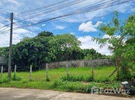  Land for sale in Old Phuket Town, Talat Yai, Talat Yai