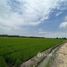 在巴吞他尼出售的 土地, Lat Lum Kaeo, Lat Lum Kaeo, 巴吞他尼