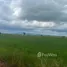  Земельный участок for sale in Pak Phli, Nakhon Nayok, Pak Phli, Pak Phli, Nakhon Nayok