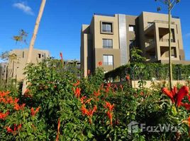 1 Bedroom Apartment for sale at Palm Parks Palm Hills, South Dahshur Link