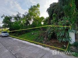 ขายที่ดิน ใน สันกำแพง, เชียงใหม่, สันกำแพง