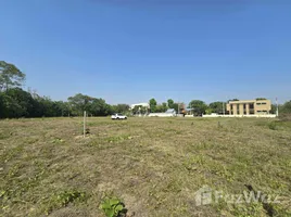 ขายที่ดิน ใน น้ำแพร่, เชียงใหม่, น้ำแพร่, หางดง