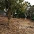  Land for sale in Montes De Oca, San Jose, Montes De Oca