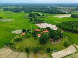 5 Schlafzimmer Haus zu verkaufen in Thoeng, Chiang Rai, Ngao, Thoeng, Chiang Rai, Thailand