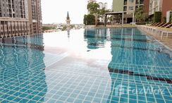 Photos 3 of the Communal Pool at Lumpini Place Srinakarin