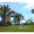  Land for sale in Nicoya, Guanacaste, Nicoya